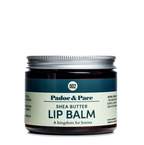002 - SHEA BUTTER LIP BALM